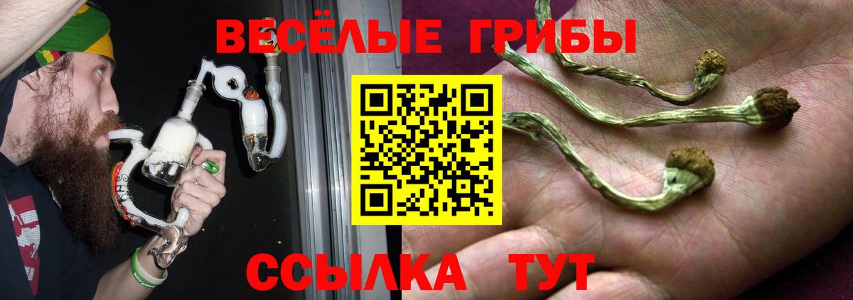 Псилоцибиновые грибы мицелий Геленджик