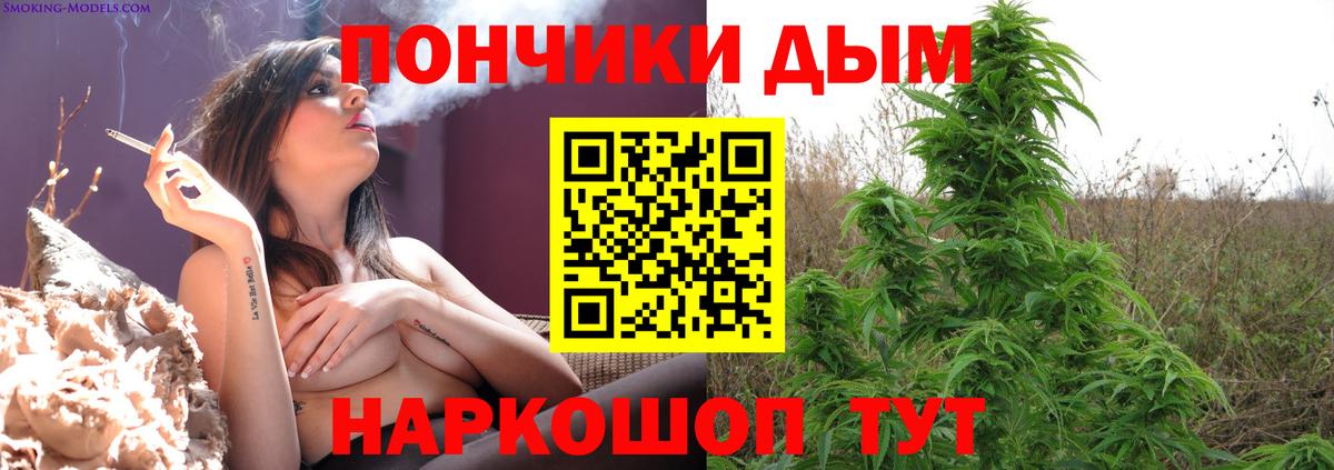 Бошки Шишки Amnesia  Бошки Шишки SATIVA & INDICA  Шишки марихуана гибрид  Геленджик  Вход с VPN 